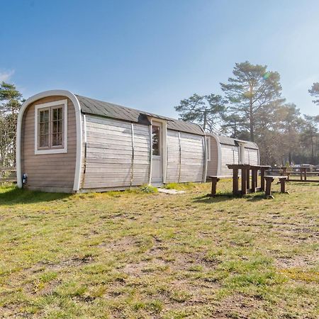Naturcamping Lueneburger Heide - Chalets & Tiny Haeuser Soltau Exterior photo